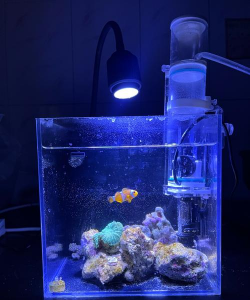 绿化景观设计，提升环境品质，创造宜人空间