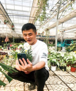 家庭养花用生根粉