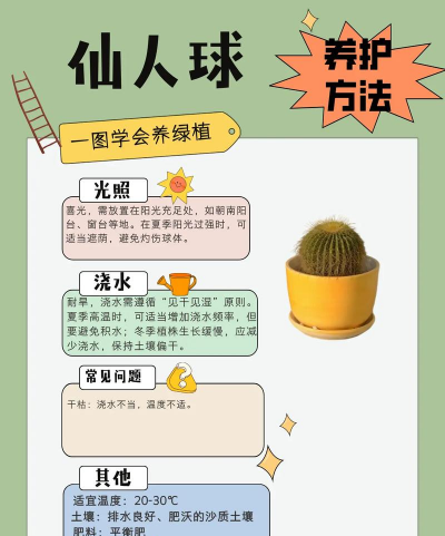 仙人球养花技术