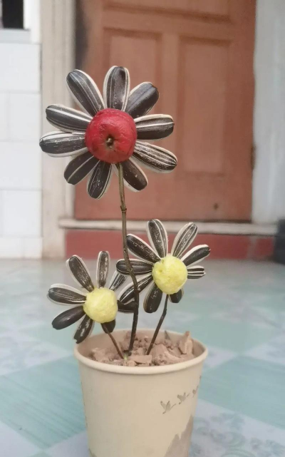 养花土里配瓜子皮 养花土里配瓜子皮