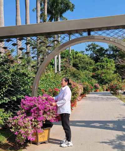 家庭养花用生根粉