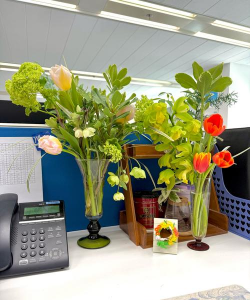 葡萄栽培，掌握关键技术，实现优质丰产