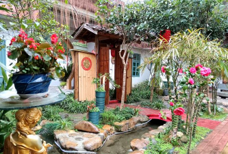 家庭养花用生根粉