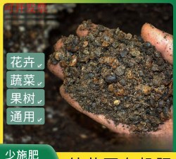大豆发酵肥料养花好吗