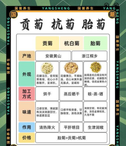 老人养花好处和坏处