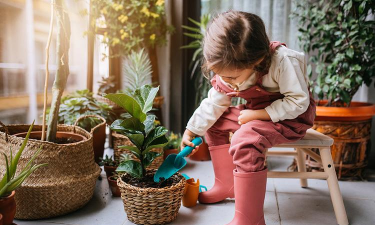 家庭养花用生根粉