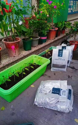 家庭养花用生根粉