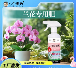 家庭养花用生根粉