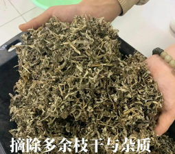 艾叶渣养花需要发酵