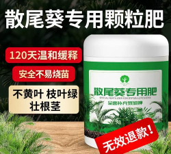 家庭养花用生根粉