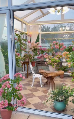 家庭养花用生根粉