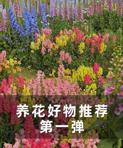 家庭养花用生根粉