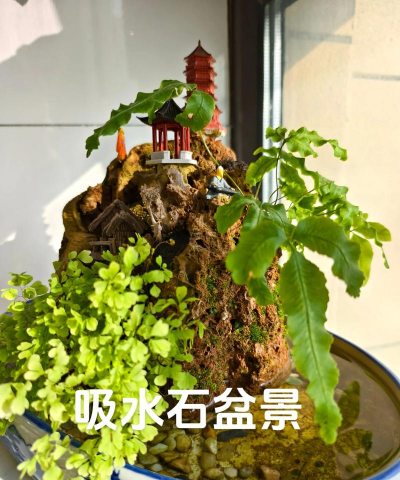 养花种菜吸水石
