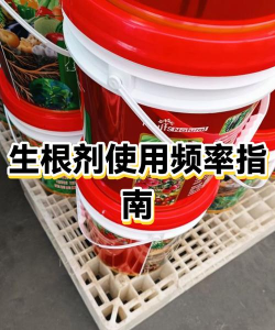 家庭养花用生根粉