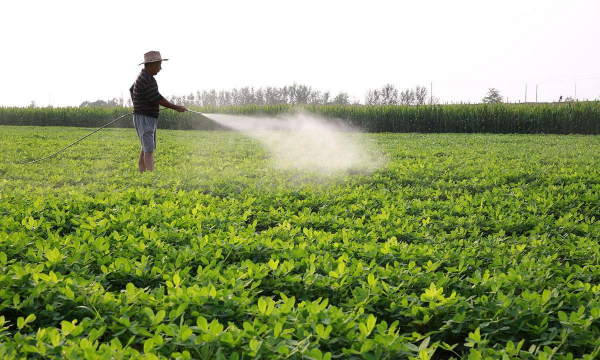 养花基地打农药