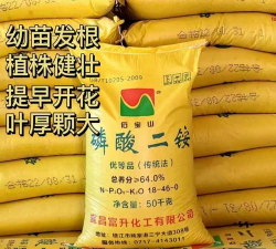 绿化景观设计，提升环境品质，创造宜人空间