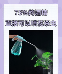 绿化景观设计，提升环境品质，创造宜人空间