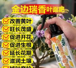 绿化景观设计，提升环境品质，创造宜人空间