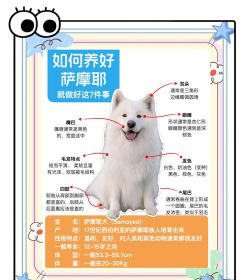 绿化景观设计，提升环境品质，创造宜人空间