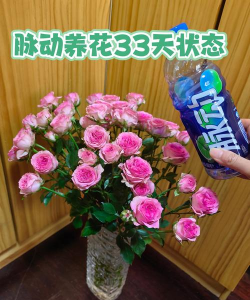 绿化景观设计，提升环境品质，创造宜人空间