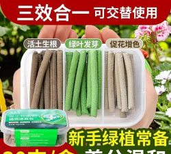 家庭养花用生根粉