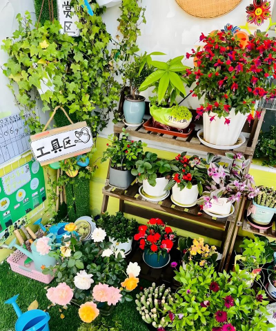 家庭养花用生根粉