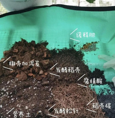 家庭养花用生根粉