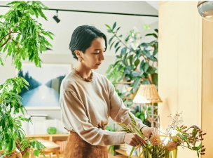 家庭养花用生根粉