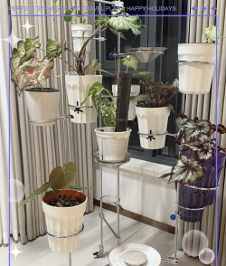 家庭养花用生根粉