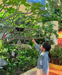 家庭养花用生根粉