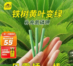 家庭养花用生根粉