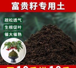 家庭养花用生根粉