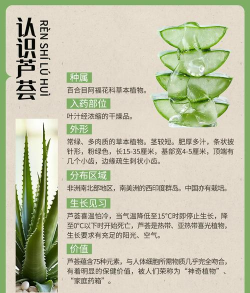 柿树虫病防治，识别常见虫害，掌握有效方法