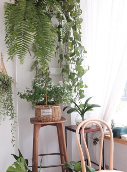 别墅园林绿化设计，打造私密空间，提升居住品质