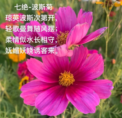 别墅园林绿化设计，打造私密空间，提升居住品质