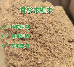 别墅园林绿化设计，打造私密空间，提升居住品质