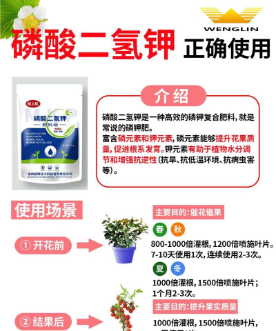 绿化景观设计，提升环境品质，创造宜人空间