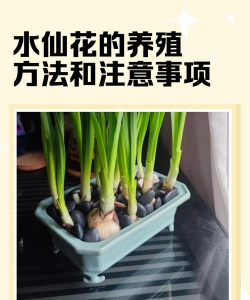 绿化景观设计，提升环境品质，创造宜人空间