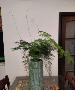 绿化景观设计，提升环境品质，创造宜人空间