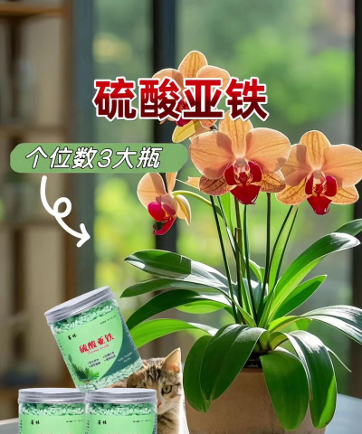 别墅园林绿化设计，打造私密空间，提升居住品质