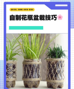 别墅园林绿化设计，打造私密空间，提升居住品质