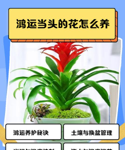 别墅园林绿化设计，打造私密空间，提升居住品质