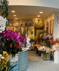 别墅园林绿化设计，打造私密空间，提升居住品质