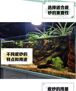 绿化景观设计，提升环境品质，创造宜人空间