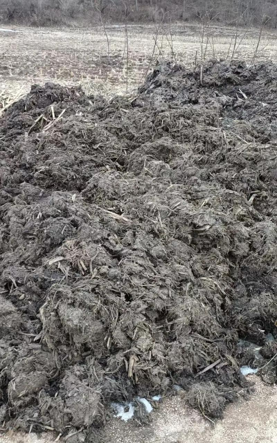 绿化景观设计，提升环境品质，创造宜人空间