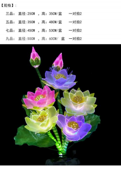 玫瑰花怎么养才不会枯萎，掌握浇水施肥技巧，轻松延长花期