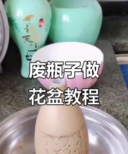 玫瑰花怎么养才不会枯萎，掌握浇水施肥技巧，轻松延长花期