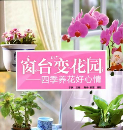 绿化景观设计，提升环境品质，创造宜人空间