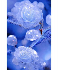 栽培的意思，核心概念，通俗理解