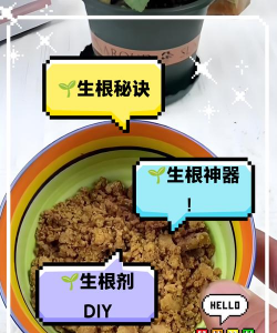 栽培的意思，核心概念，通俗理解